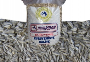 Ay Çekirdeği