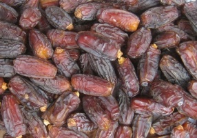 Hurma